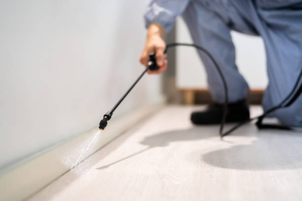 Rodent Entry Point Assessment in Thomasboro