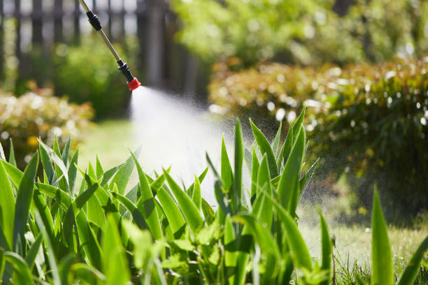 Tamper-Resistant Bait Stations for Rodents in Thomasboro