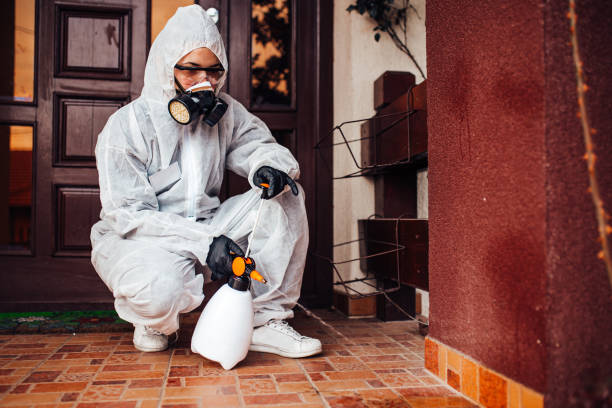 Attic and Crawl Space Rodent Treatment in Thomasboro